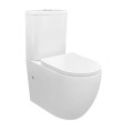 Inspire-Cosenza Rimless Toilet Suite
